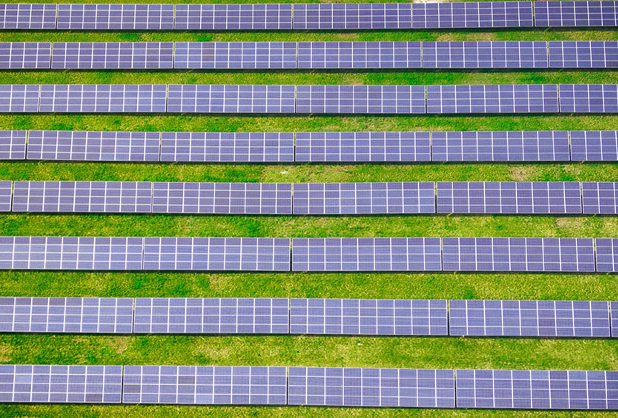Solar panels on the grass